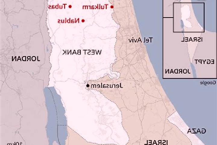 Escorts Tammun, Palestine — Local Companions