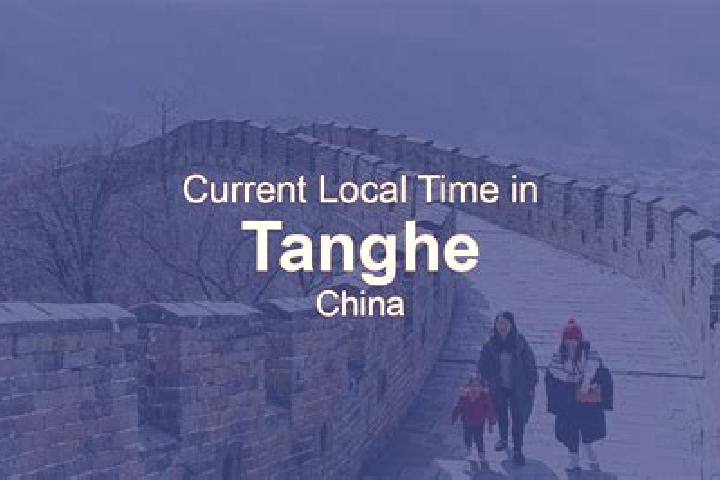 Escorts Tanghe, China — Local Companions