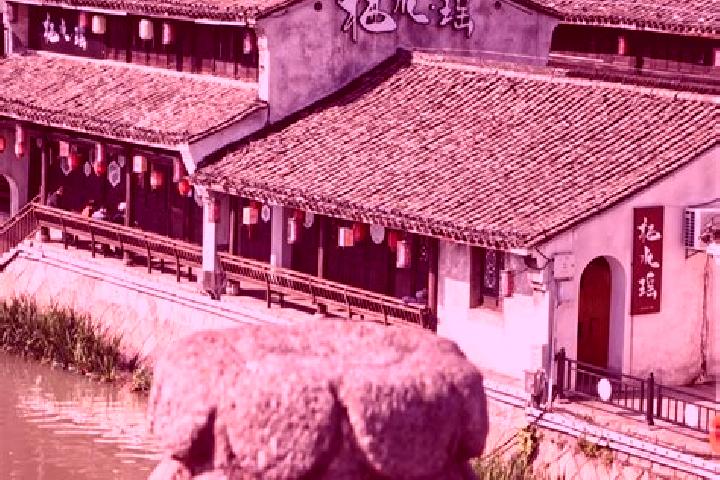 Escorts Tangqi, China — Local Companions