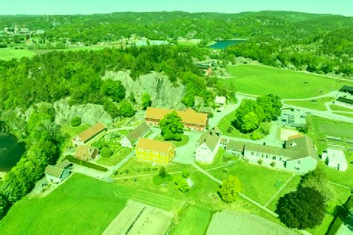 Escorts Tangvall, Norway — Local Companions