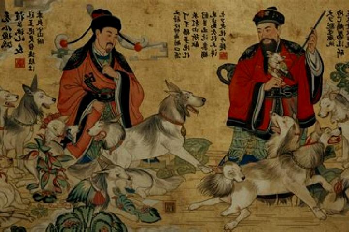 Escorts Taqian, China — Local Companions