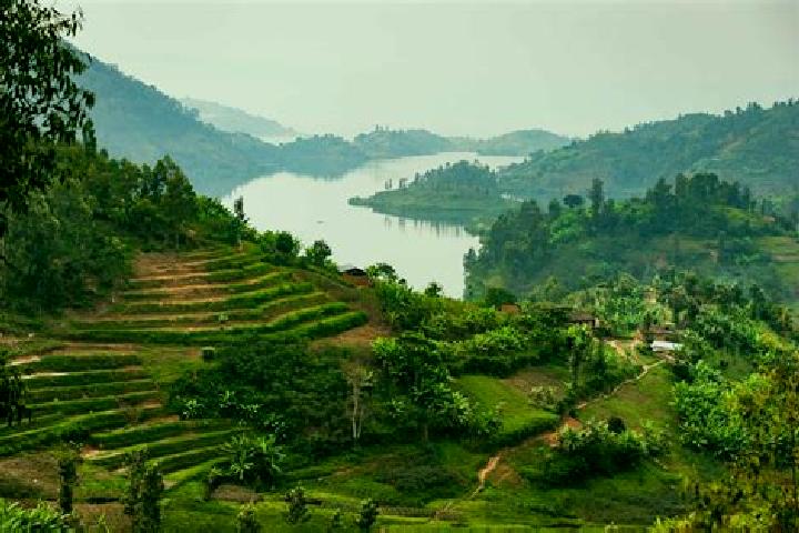 Escorts Tare, Rwanda — Local Companions