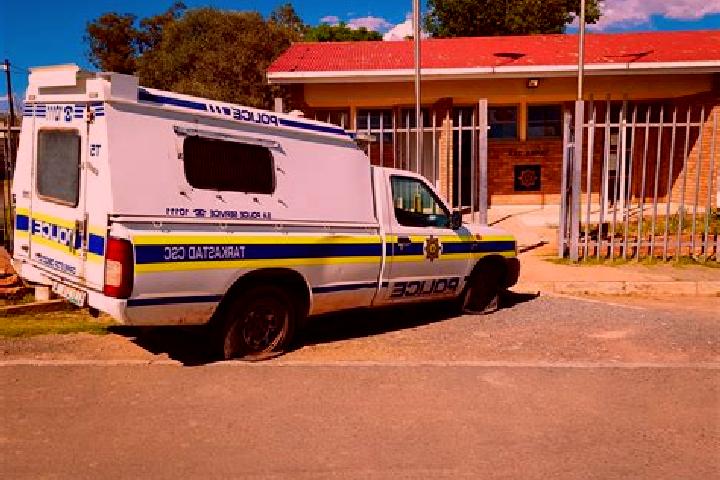 Escorts Tarkastad, South Africa — Local Companions