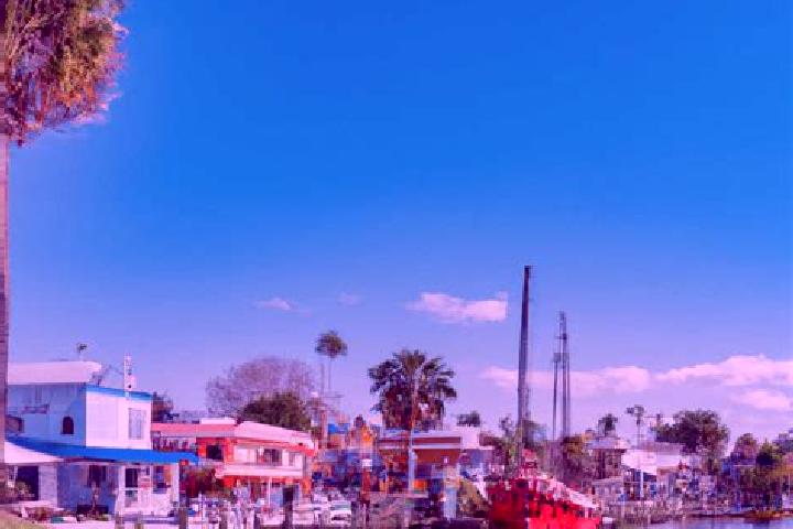 Escorts Tarpon Springs, United States — Local Companions