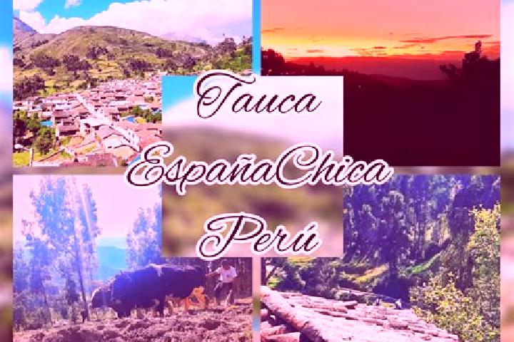 Escorts Tauca, Peru — Local Companions