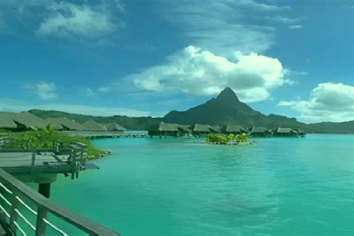 Escorts Taunoa, French Polynesia — Local Companions