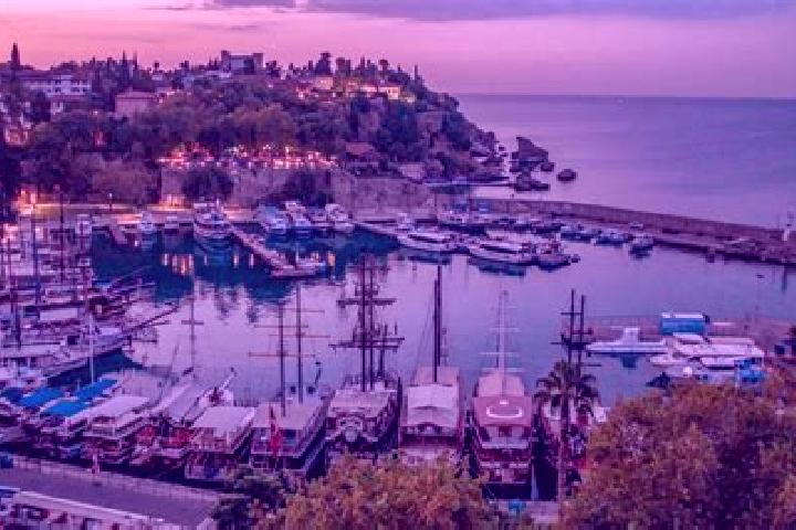 Escorts Tavsanli, Turkey — Local Companions