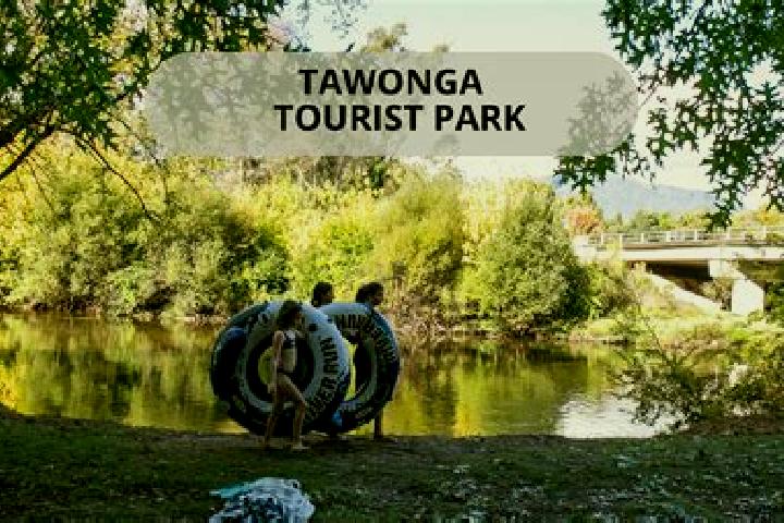 Escorts Tawonga, Australia — Local Companions