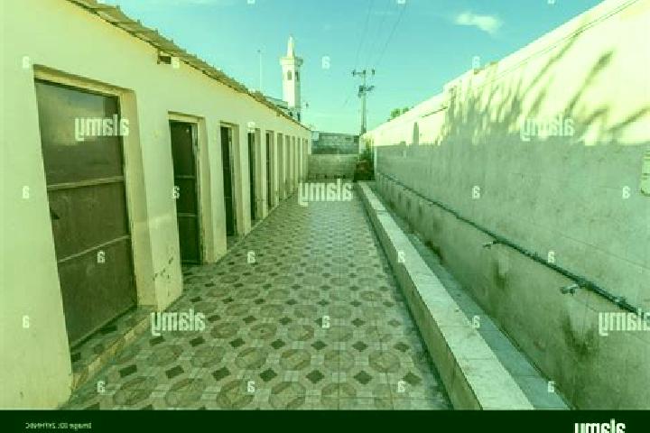 Escorts Tayma , Saudi Arabia — Local Companions