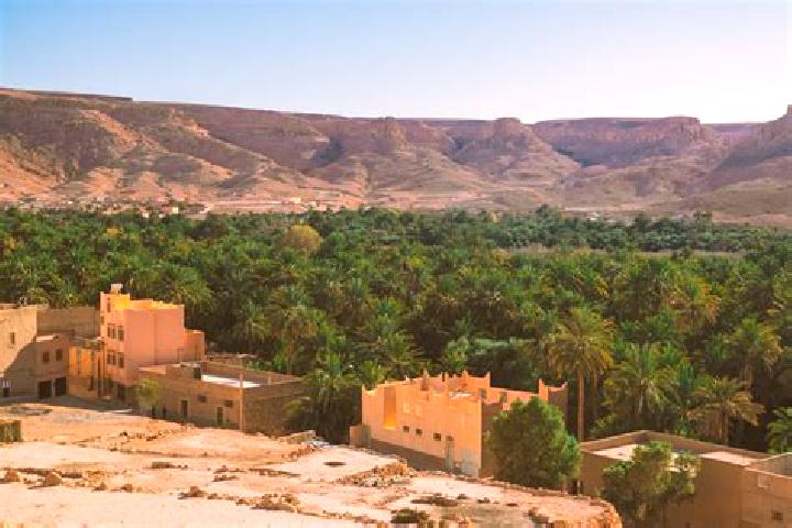 Escorts Tazarine, Morocco — Local Companions