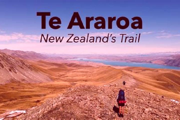 Escorts Te Aro, New Zealand — Local Companions