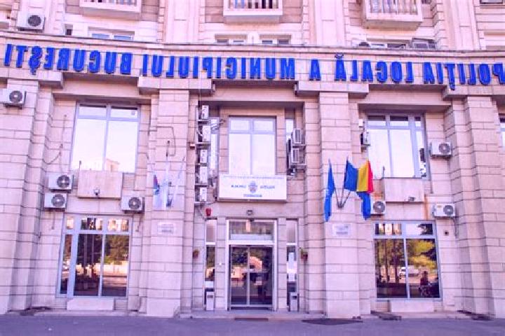 Escorts Teiu, Romania — Local Companions