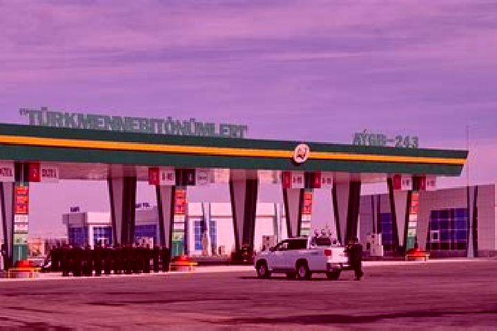 Escorts Tejen, Turkmenistan — Local Companions