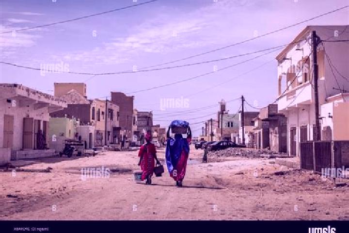 Escorts Tekane, Mauritania — Local Companions