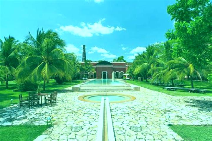 Escorts Temozon Sur, Mexico — Local Companions