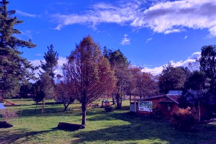 Escorts Temuco, Chile — Local Companions