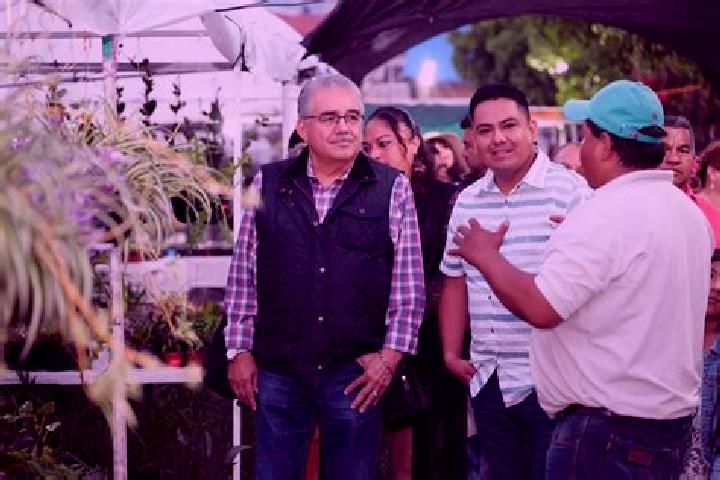 Escorts Tenango de las Flores, Mexico — Local Companions