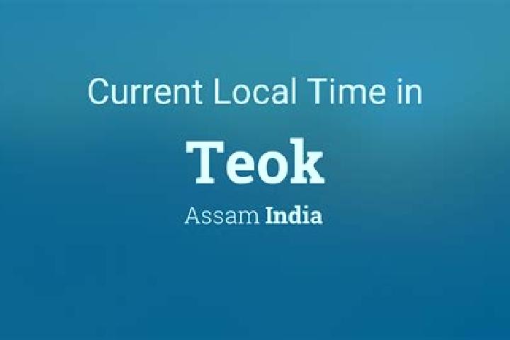 Escorts Teok, India — Local Companions
