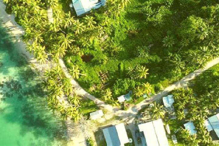 Escorts Teone Village, Tuvalu — Local Companions