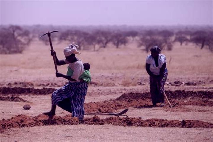 Escorts Tera, Niger — Local Companions