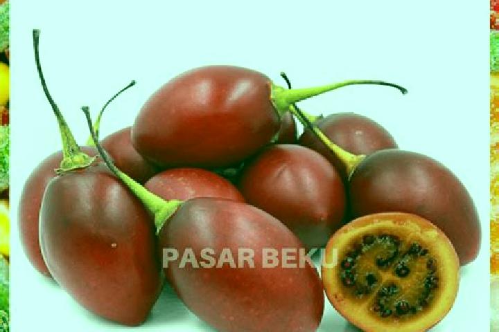 Escorts Terong, Indonesia — Local Companions