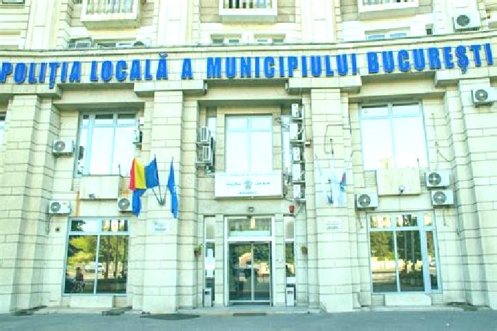 Escorts Terova, Romania — Local Companions