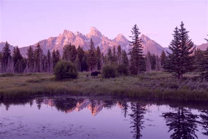 Escorts Teton, United States — Local Companions