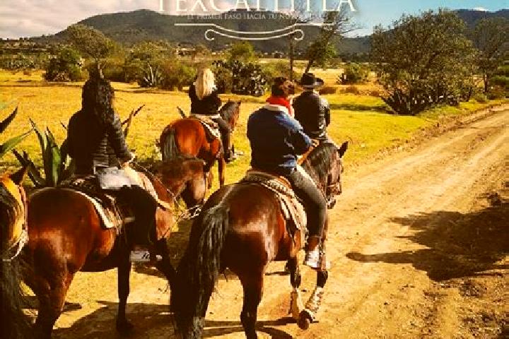 Escorts Texcaltitla, Mexico — Local Companions
