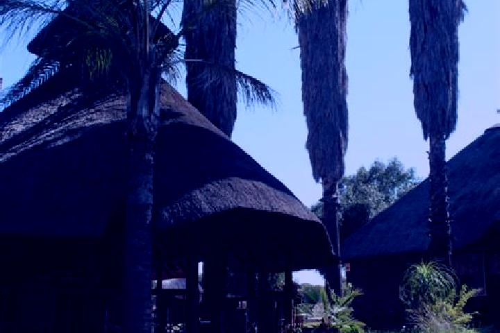 Escorts Thabazimbi, South Africa — Local Companions