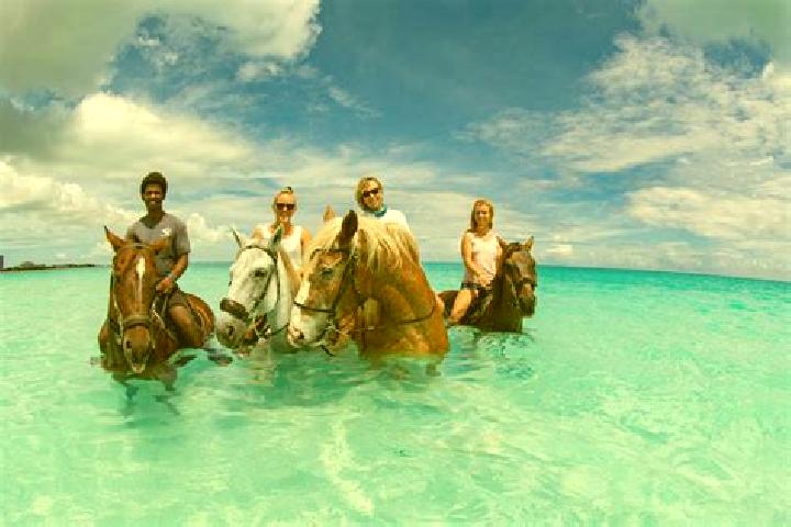 Escorts The Bight Settlements, Turks and Caicos Islands — Local Companions