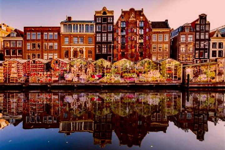 Escorts Theereheide, Netherlands — Local Companions