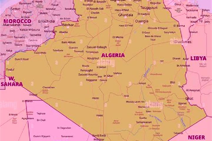 Escorts Thenia, Algeria — Local Companions