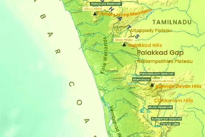 Escorts Thenkasi, India — Local Companions