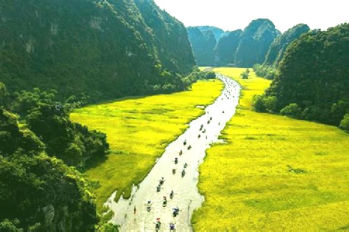 Escorts Thi Tran Hoa Binh, Vietnam — Local Companions