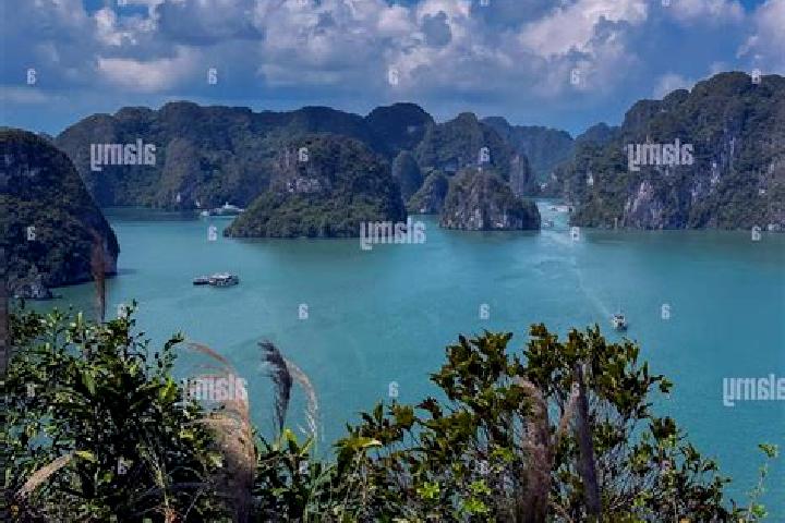Escorts Thi Tran Thuan Chau, Vietnam — Local Companions