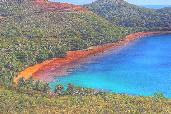 Escorts Thio, New Caledonia — Local Companions