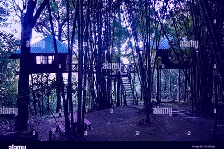 Escorts Thong Pha Phum, Thailand — Local Companions