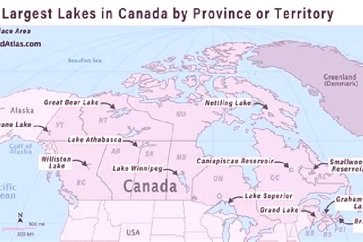 Escorts Three Lakes, United States — Local Companions