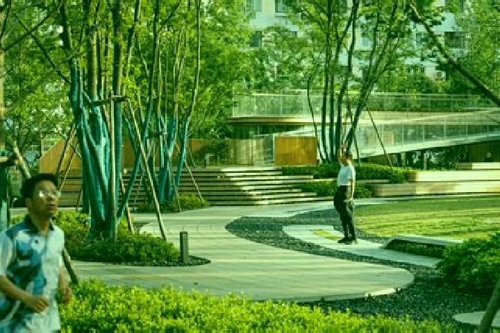 Escorts Tianlin, China — Local Companions