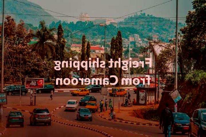 Escorts Tignere, Cameroon — Local Companions