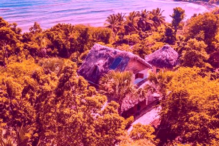 Escorts Tigwav, Haiti — Local Companions