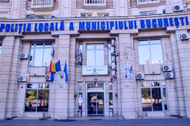Escorts Tilisca, Romania — Local Companions