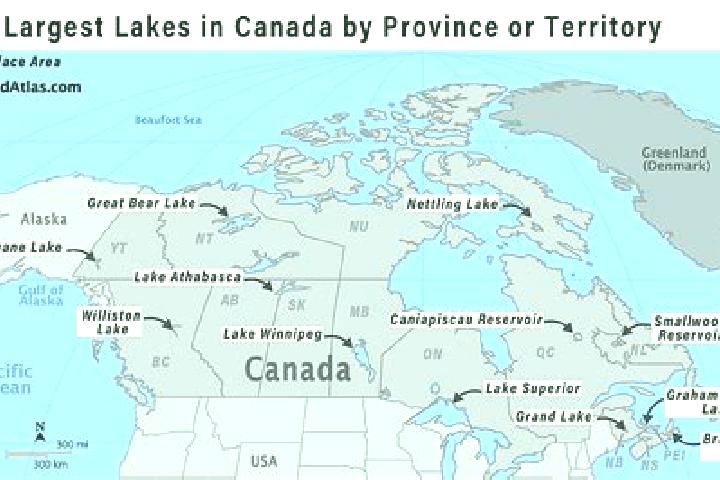 Escorts Timber Lakes, United States — Local Companions