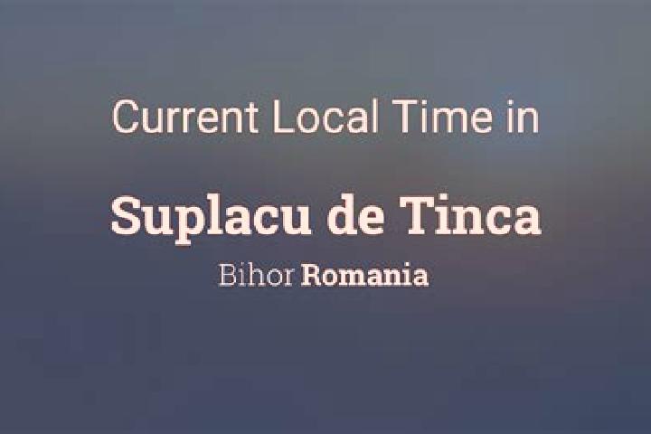 Escorts Tinca, Romania — Local Companions