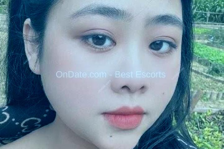 Escorts Tinh Gia, Vietnam — Local Companions