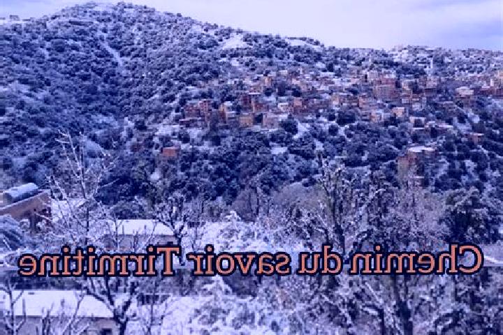 Escorts Tirmitine, Algeria — Local Companions