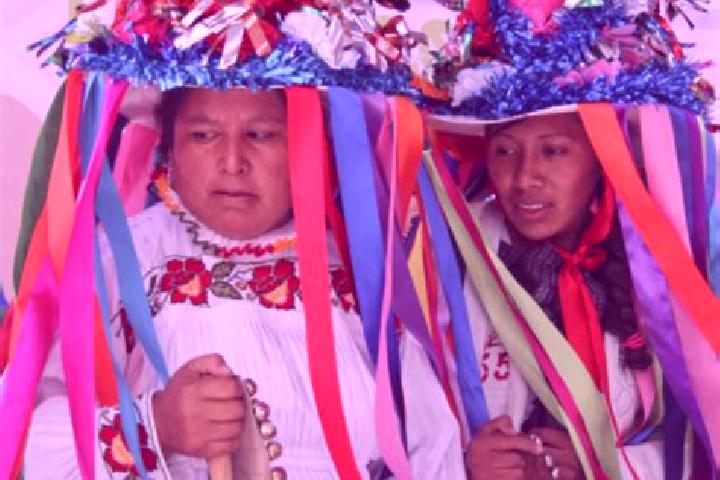 Escorts Tixmadeje Chiquito, Mexico — Local Companions
