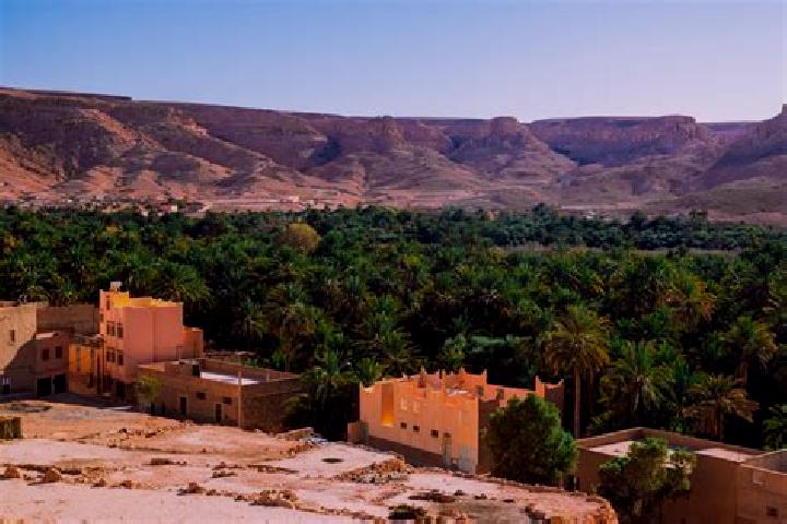 Escorts Tizi-n-Tleta, Algeria — Local Companions