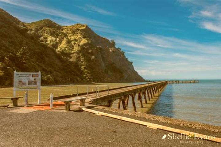 Escorts Tokomaru, New Zealand — Local Companions