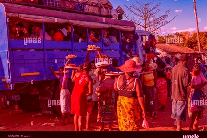 Escorts Toliara, Madagascar — Local Companions